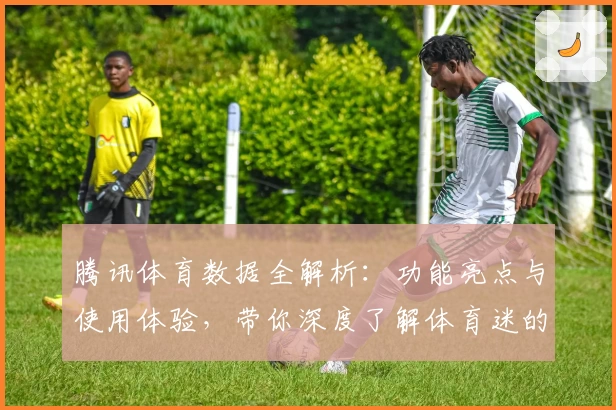 腾讯体育数据全解析：功能亮点与使用体验，带你深度了解体育迷的必备利器